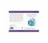 Cardiopatía isquémica en UCI: diagnóstico, manejo, complicaciones