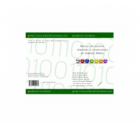 Manejo del paciente amputado a consecuencia de Diabetes Mellitus