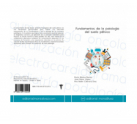 Fundamentos de la patología del suelo pélvico